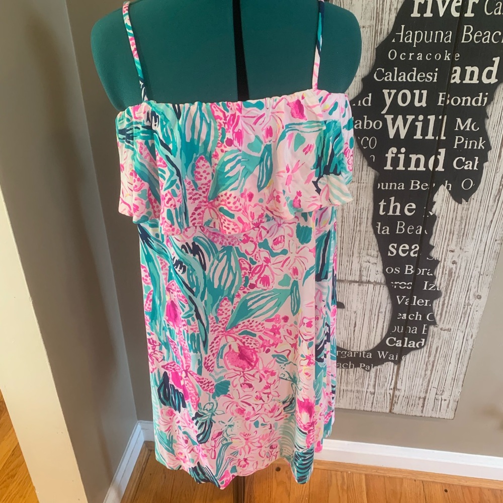 Lily Pulitzer dress Large.  Worn once.